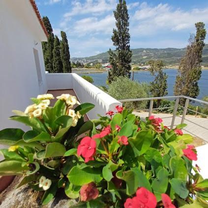 Skiathos Lagoterra Apartments Bagian luar foto